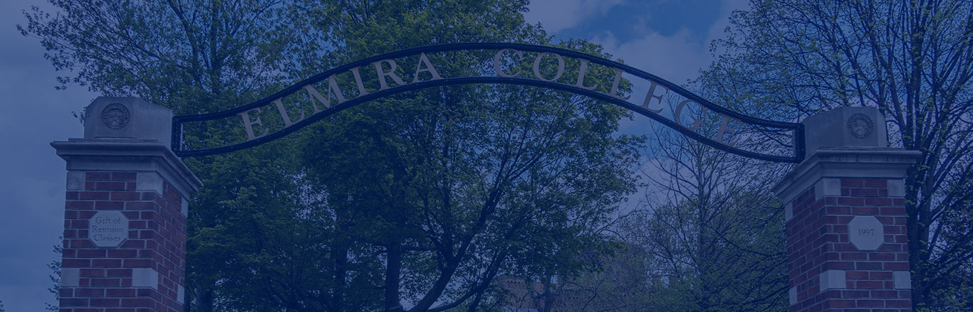 Elmira College blue shade